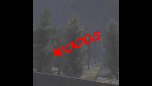 More information about "woods beta1 - woods_beta1.pk3 and waypoints"