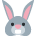 :face_rabbit: